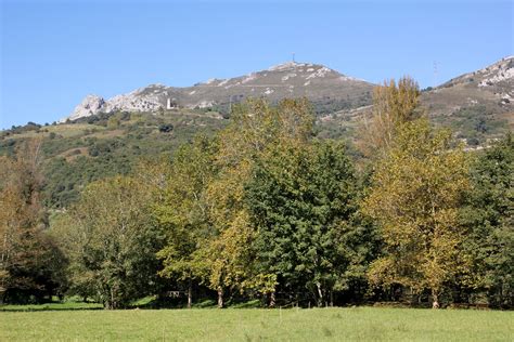 1578 Asturias Panes Joan Carles Doria Flickr