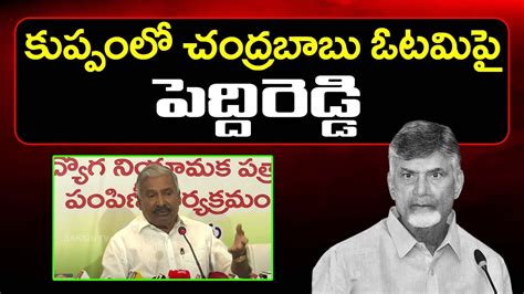 Peddireddy Ramachandra Reddy Sensational Comments On Chandrababu Pdtv