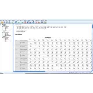 Jual Jasa Olah Data Uji Validitas Reliabilitas Dengan SPSS Shopee