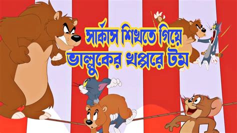 Tom And Jerry । Bangla Cartoon । Tom And Jerry Bangla । Cartoon । Tom