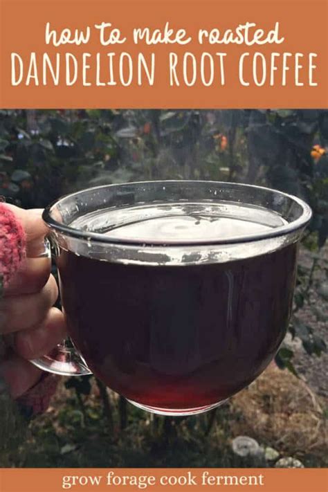 Roasted Dandelion Root Coffee With Chicory Root And Cinnamon Recipe