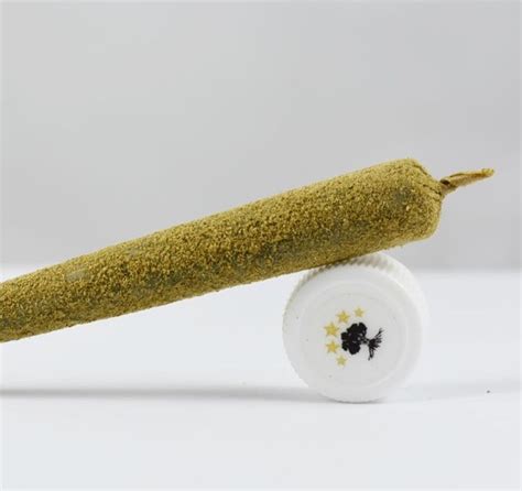 Golani Kief Wax Preroll Peach 225 560preroll