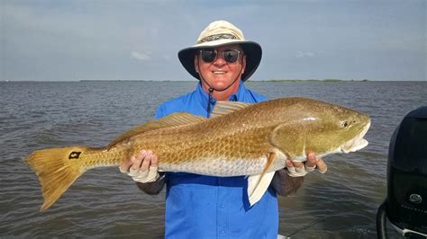 Louisiana Fishing Reports | Adventure South Guide Service