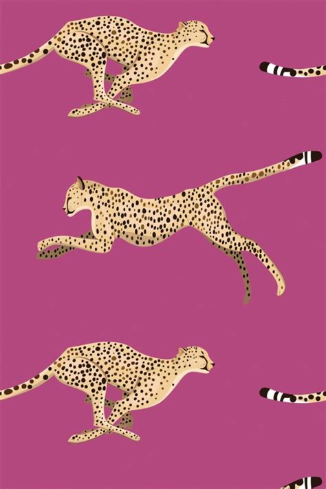 Cheetah Peel and Stick Wallpaper or Non-pasted