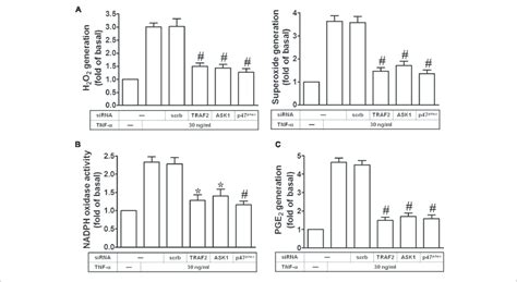 Tnf Induces Nadph Oxidase Ros Generation And Pge Release Via