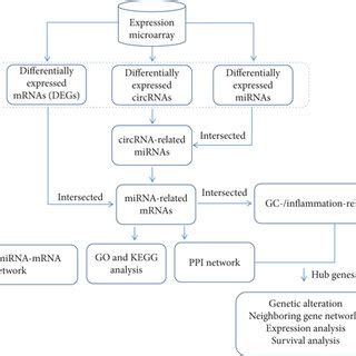 Workflow For The Identification And Analysis Of Hub Genes In Gastric