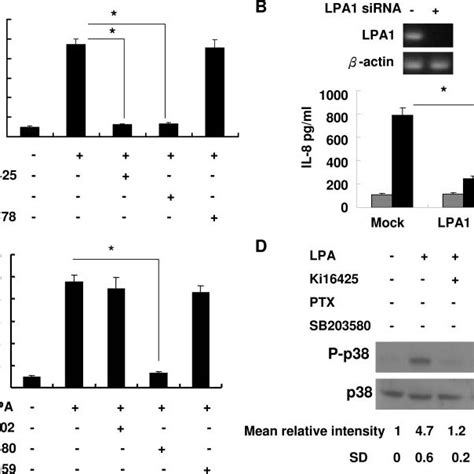 Expression Of LPA Receptors In Endometrial Stromal Cells A The