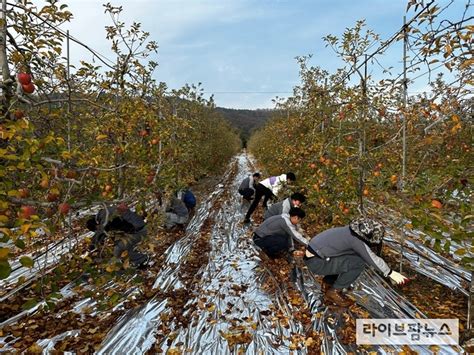 농협경제지주 축산지원부 농가 일손돕기 동참