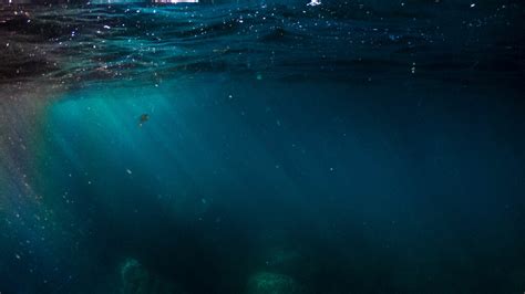 Thalassophobia: Do You Fear the Deep Ocean? | Flipboard