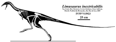 Limusaurus - Alchetron, The Free Social Encyclopedia