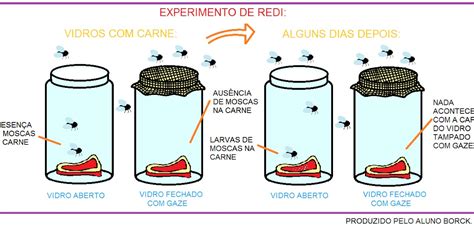 Origenes De La Vida Experimento De Redi