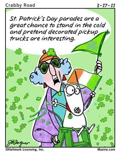 Maxine St Patricks Day Quotes St Pattys Day St Patricks Day Parade