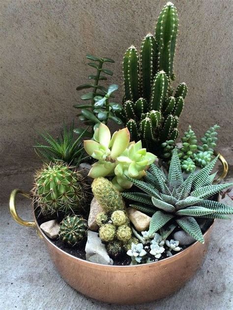 27 Beauty Cactus And Succulent Garden Ideas For Indoorbeauty Cactus Garden Ideas Indoor