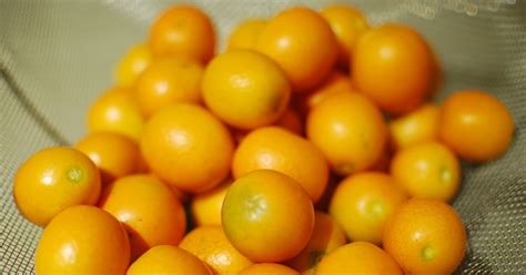 Food Lab Asia Preserved Kumquats With Salt