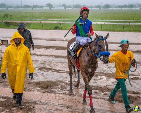TML Sports JA - 🇯🇲 Horse Racing 🇯🇲 🏟: Caymanas Park; 🌆:... | Facebook