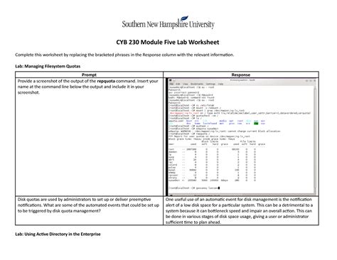 CYB 230 Module Five Lab Worksheet CYB 230 Module Five Lab Worksheet