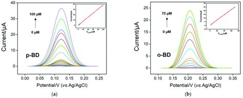 Dpv Responses Of P Dg Electrode To Various Concentrations Of P Bd A