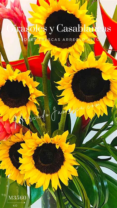 Arreglo De Girasoles Y Heliconias Florerias Mercado De Jamaica