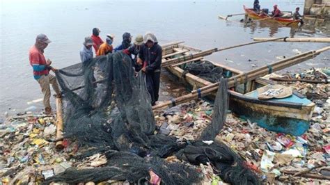 Foto Dampak Cuaca Ekstrem Tangkapan Ikan Menurun Tribunlampung Co Id