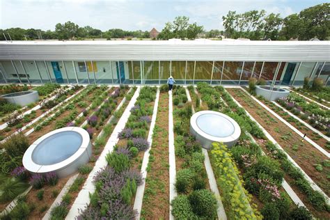 Agriculture: Urban Agriculture