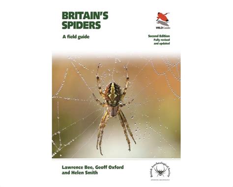 Wildguides Britains Spiders Wildlife Trust Shop Yorkshire