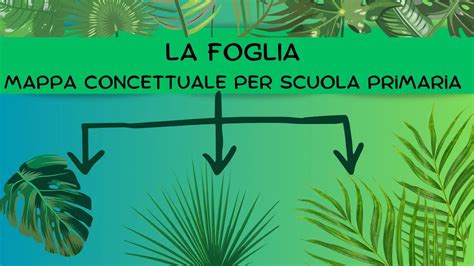 La Foglia Mappa Concettuale Per Scuola Primaria Sostegno