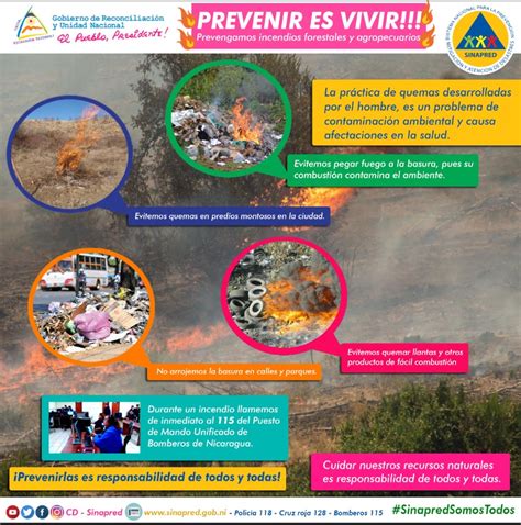 Conozca Las Medidas De PrevenciÓn De Incendios Forestales Y