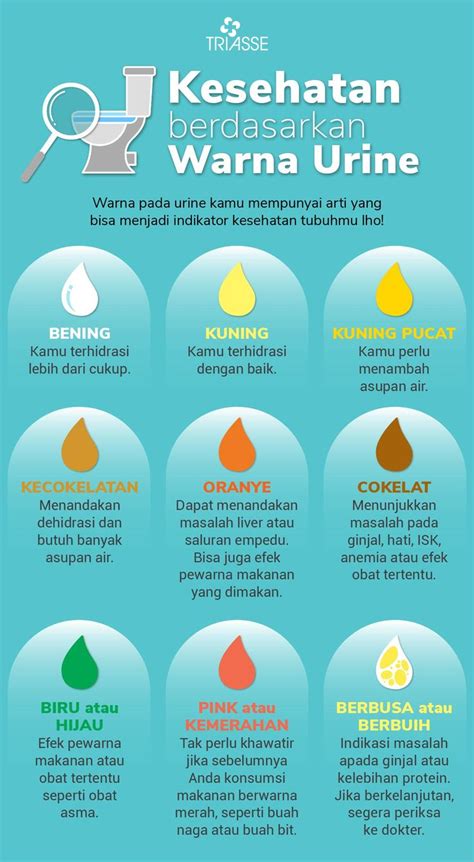 Kesehatan Berdasarkan Warna Urine Kesehatan Tubuh Warna