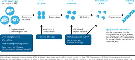 Figure 3 From Hereditary Attr Amyloidosis Burden Of Illness And