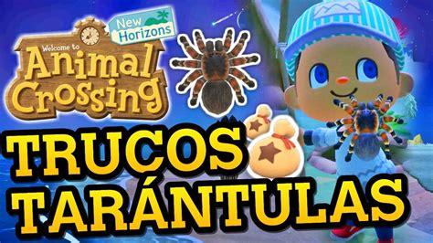 10 Trucos Y Consejos Para Cazar TarÁntulas En Animal Crossing New