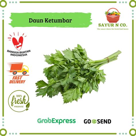 Jual Daun Ketumbar Wansui Coriander Cilantro Sayur N Co Bekasi