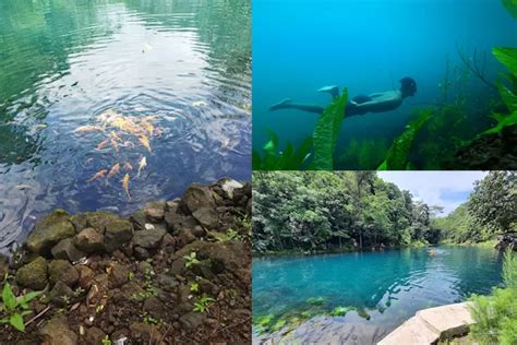 Pesona Tersembunyi Majalengka Kolam Ikan Yang Menawan Tanya Kenapa