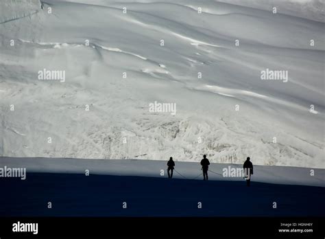 Mountaineers Crossing A Glacier Roped Up Stock Photo Alamy