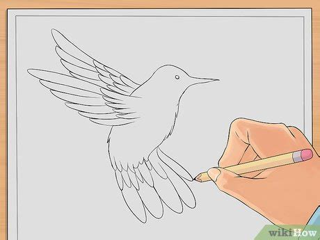 C Mo Dibujar Un Colibr Pasos Con Fotos Wikihow