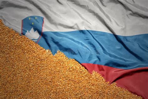 Wheat Grain On The Waving Colorful National Flag Of Slovenia Macro