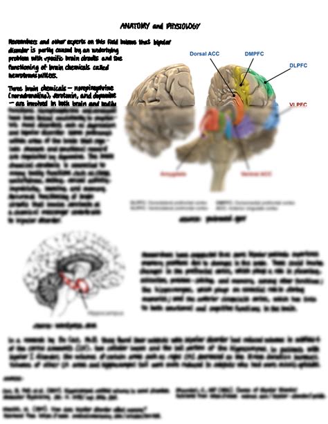 Solution Bipolar Disorder Anatomy And Physiology Studypool