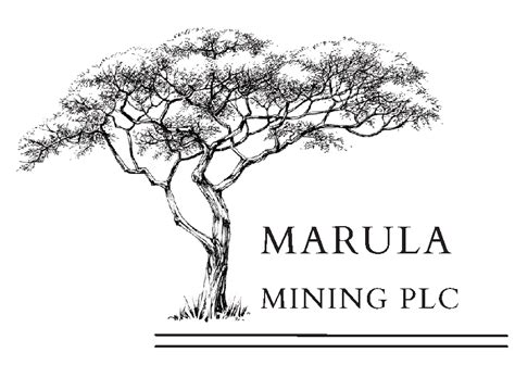 Marula Mining Approves Funding For Planned Resource Drilling