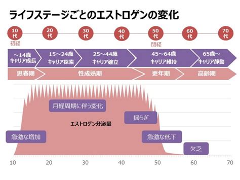 エストロゲンとプロゲステロン 公益社団法人女性の健康とメノポーズ協会