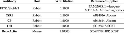 Antibodies used for Western blot. | Download Scientific Diagram