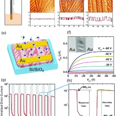 A Schematic Diagram Of The Dip Coating Process Bd Afm Height