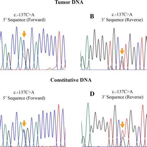 Type and localization of the variants found in the CDH1 gene by next ...