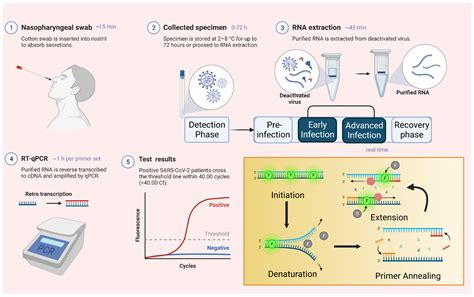 Vaccines Free Full Text Conventional And Novel Diagnostic Tools For