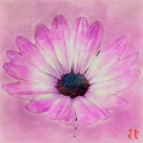 flower digital watercolors series  aravindtarugu  deviantart