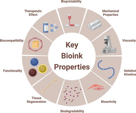 Key Properties Of The Bioink In 3d Bioprinting Download Scientific