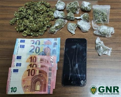 Jovem Detido Por Tráfico De Cannabis Mensageiro De Bragança