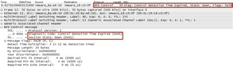 A Wireshark Capture Of A Spoofed Bfd Packet To Remove Protection From A