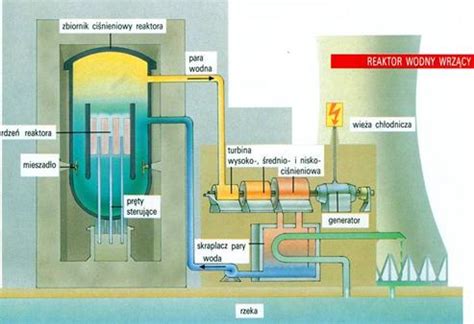 Elektrownia jądrowa zasada działania rodzaje i budowa reaktorów