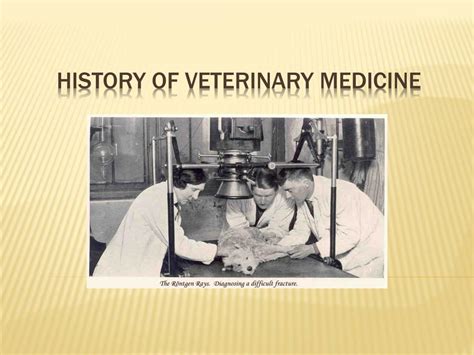 Ppt History Of Veterinary Medicine Powerpoint Presentation Free Download Id 5139246