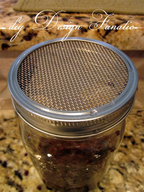 diy Design Fanatic: DIY: Sprout Your Own Seeds