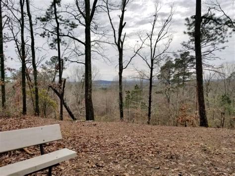 The Driskill Mountain Trail: the Highest Point in Louisiana